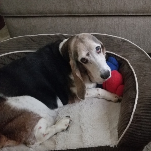 Meet your Posher, Donna - Picture 4 of 8